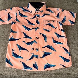 Craft + Flow Button Down Little Boys Size 5.